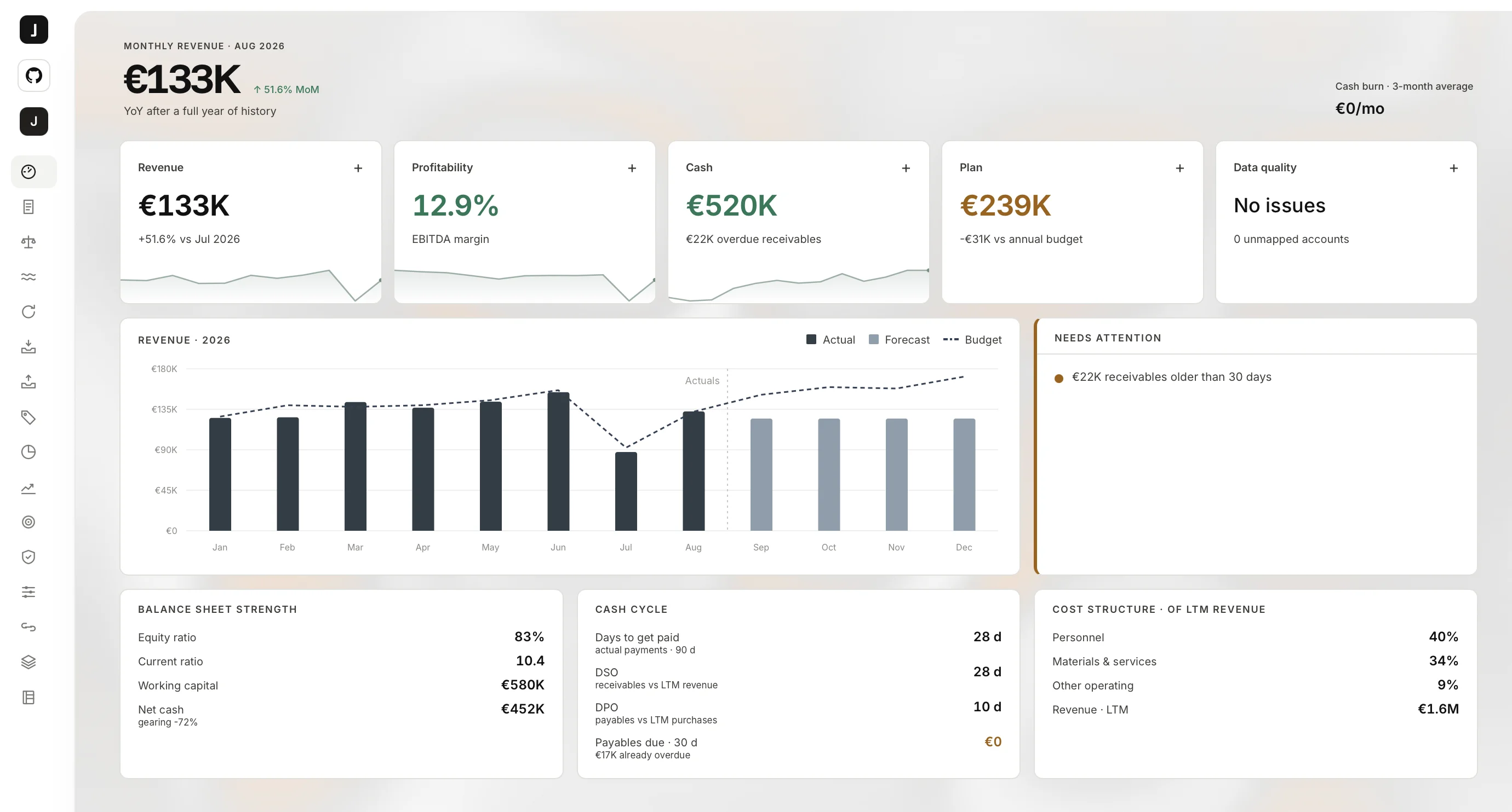 FP&A dashboard showing revenue, profitability, cash and budget against actuals.